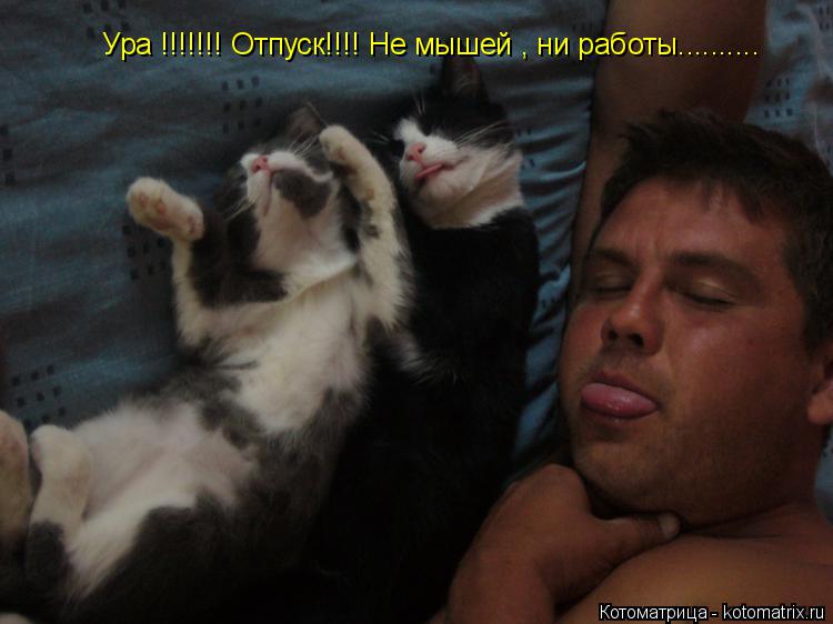 Котоматрица: Ура !!!!!!! Отпуск!!!! Не мышей , ни работы..........