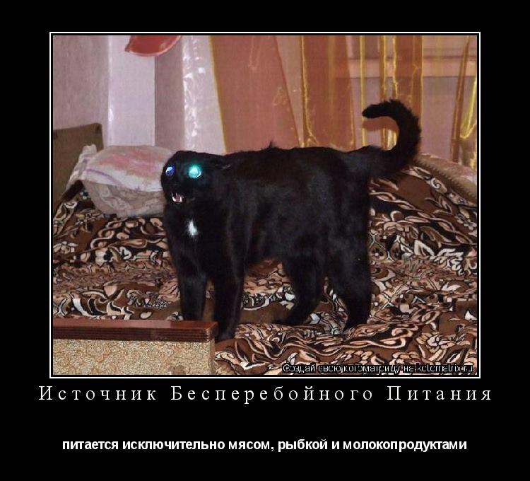 Котоматрица: Источник Бесперебойного Питания питается исключительно мясом, рыбкой и молокопродуктами