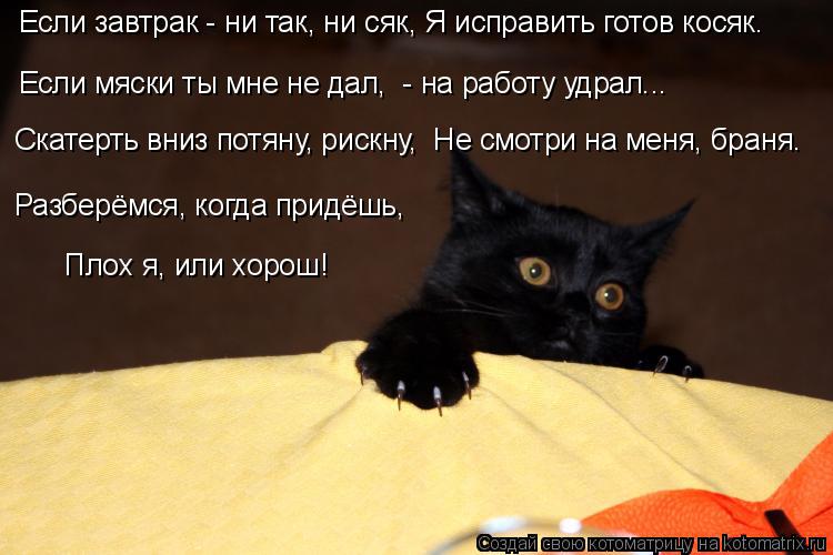 Если завтрак - ни так, ни сяк, Я исправить готов косяк. Если мяски ты мне не дал, - на работу удрал... Котоматрица: Если завтрак - ни так, ни сяк, Я исправить готов косяк. Если мяски ты мне не дал, - на работу удрал... Скатерть вниз потяну, рискну, Не смотри на