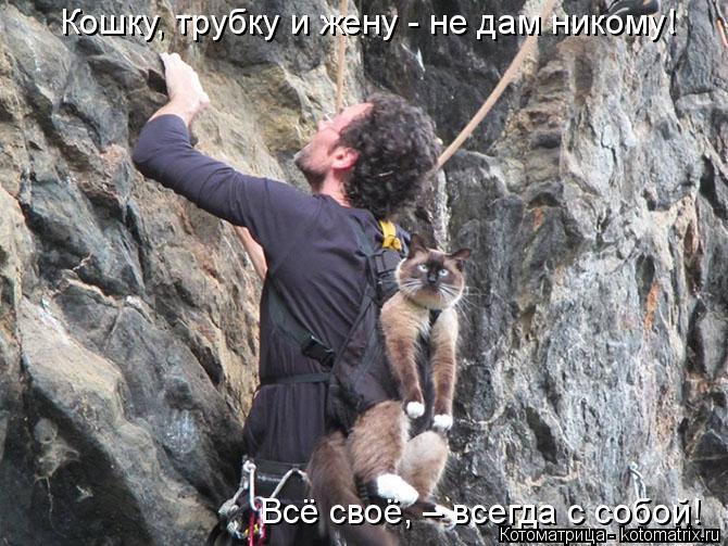 Котоматрица: Кошку, трубку и жену - не дам никому! Всё своё, – всегда с собой!