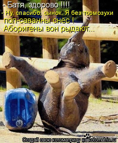 - Батя, здорово !!!! - Ну, спасибо, сынок. Я без тормозухи пол-саванны снёс ! Аборигены вон рыдают..... Котоматрица: - Батя, здорово !!!! - Ну, спасибо, сынок. Я без тормозухи пол-саванны снёс ! Аборигены вон рыдают...