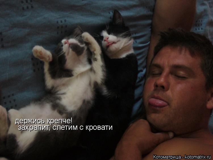 держись крепче! захрапит, слетим с кровати... Котоматрица: держись крепче! захрапит, слетим с кровати