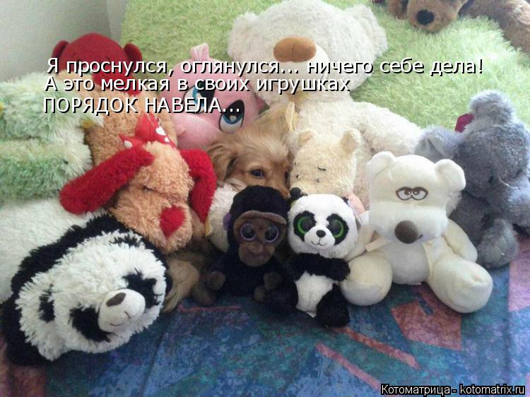 Котоматрица: Я проснулся, оглянулся... ничего себе дела! А это мелкая в своих игрушках ПОРЯДОК НАВЕЛА...