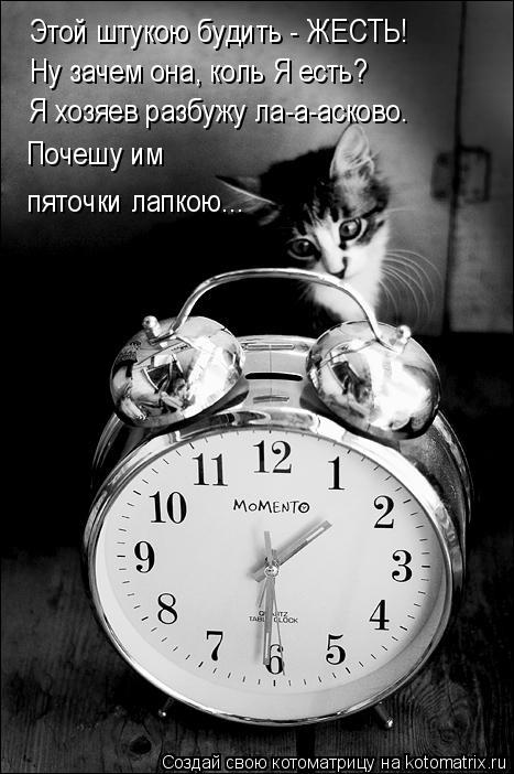 Этой штукою будить - ЖЕСТЬ! Ну зачем она, коль Я есть? Я хозяев разбужу ла-а-асково. Почешу им пяточ... Котоматрица: Этой штукою будить - ЖЕСТЬ! Ну зачем она, коль Я есть? Я хозяев разбужу ла-а-асково. Почешу им пяточки лапкою...