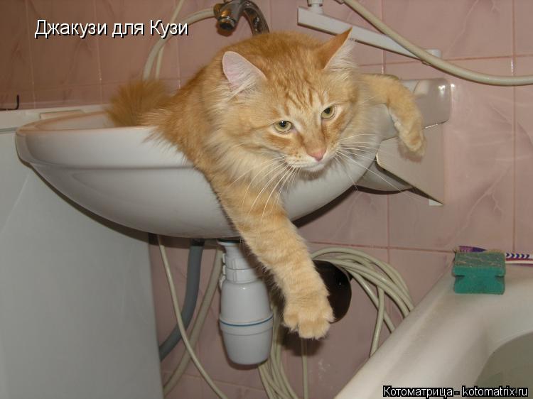 Котоматрица: Джакузи для Кузи