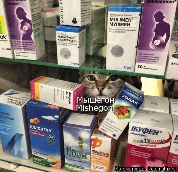 Котоматрица: Мышегон Mishegon