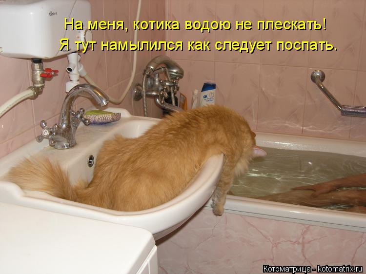 Котоматрица: На меня, котика водою не плескать! Я тут намылился как следует поспать.