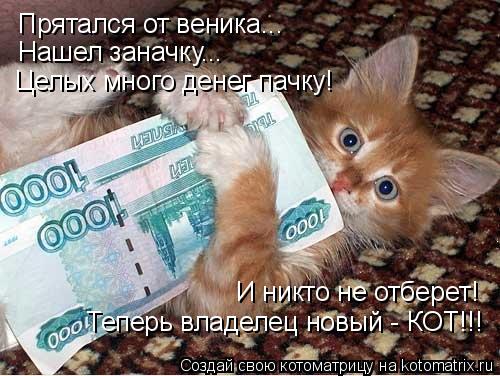 Котоматрица: Прятался от веника... Нашел заначку... Целых много денег пачку! И никто не отберет! Теперь владелец новый - КОТ!!!