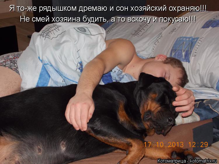 Я то-же рядышком дремаю и сон хозяйский охраняю!!! Не смей хозяина будить, а то вскочу и покусаю!!!... Котоматрица: Я то-же рядышком дремаю и сон хозяйский охраняю!!! Не смей хозяина будить, а то вскочу и покусаю!!!