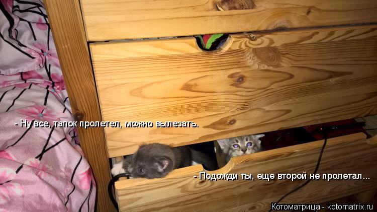 - Ну все, тапок пролетел, можно вылезать. - Подожди ты, еще второй не пролетал...... Котоматрица: - Ну все, тапок пролетел, можно вылезать. - Подожди ты, еще второй не пролетал...