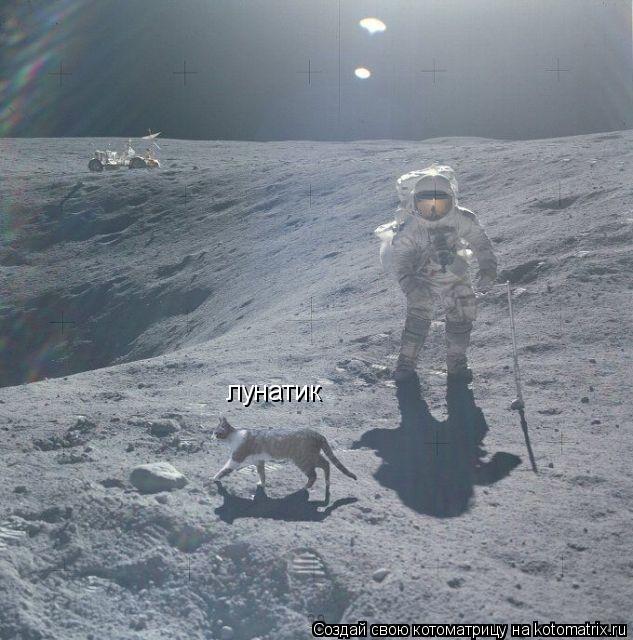 Котоматрица: лунатик