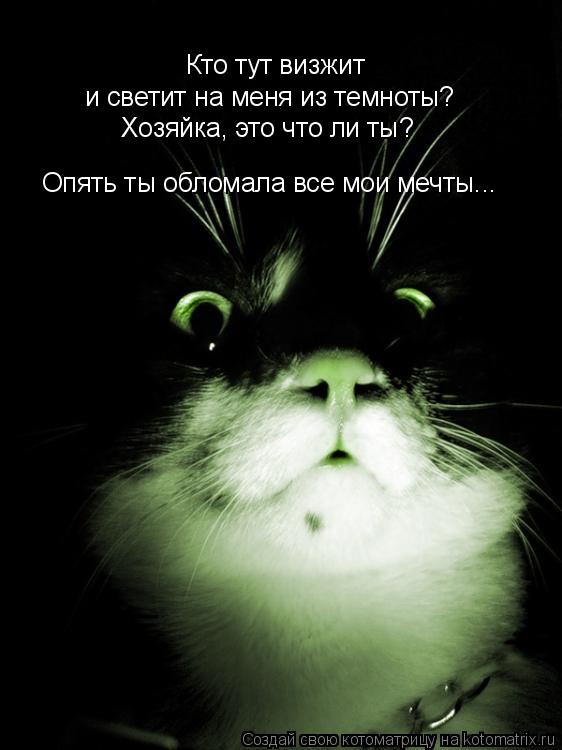 Котоматрица: Кто тут визжит  и светит на меня из темноты? Хозяйка, это что ли ты? Опять ты обломала все мои мечты...