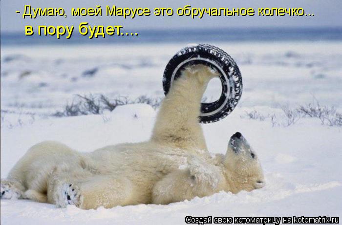 Котоматрица: - Думаю, моей Марусе это обручальное колечко... в пору будет....