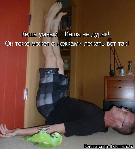 Котоматрица: Кеша умный... Кеша не дурак! Он тоже может с ножками лежать вот так!