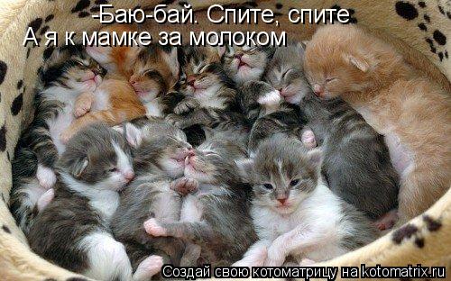 Котоматрица: -Баю-бай. Спите, спите А я к мамке за молоком