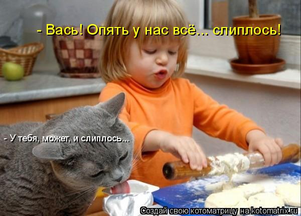 - У тебя, может, и слиплось... - Вась! Опять у нас всё... слиплось!... Котоматрица: - У тебя, может, и слиплось... - Вась! Опять у нас всё... слиплось!