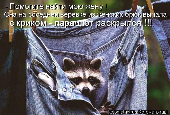 Котоматрица: - Помогите найти мою жену ! Она на соседней веревке из женских брюк выпала, с криком - парашют раскрылся !!!