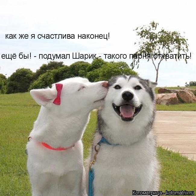 Котоматрица: как же я счастлива наконец! ещё бы! - подумал Шарик,- такого парня отхватить!