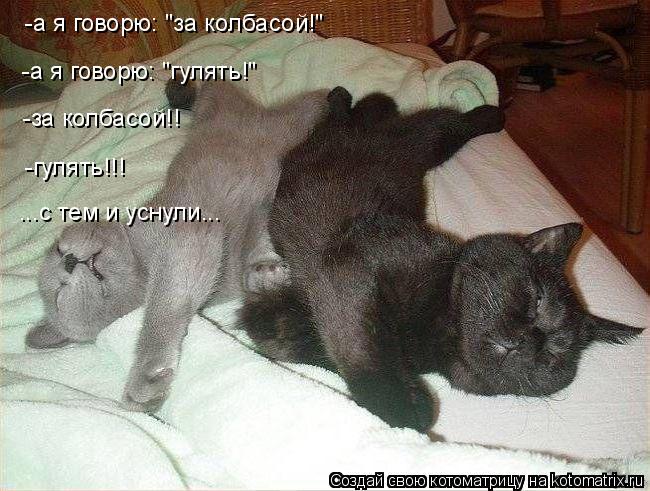 -а я говорю: "за колбасой!" -а я говорю: "гулять!" -за колбасой!! -гулять!!! ...с тем и уснули...... Котоматрица: -а я говорю: "за колбасой!" -а я говорю: "гулять!" -за колбасой!! -гулять!!! ...с тем и уснули...