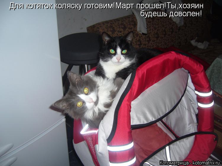 Котоматрица: Для котяток коляску готовим!Март прошел!Ты,хозяин будешь доволен!