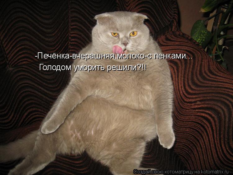 Котоматрица: -Печёнка-вчерашняя,молоко-с пенками... Голодом уморить решили?!!