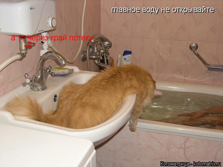 Котоматрица: главное воду не открывайте а то через край потеку