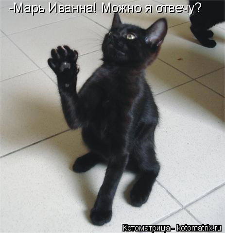 Котоматрица: -Марь Иванна! Можно я отвечу?