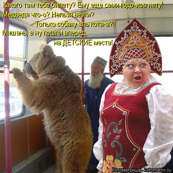 Какого там тебе билету? Ему еще семи годочков нету! Медведя что-о? Нельзя везти? Только собаку аль ко... Котоматрица: Какого там тебе билету? Ему еще семи годочков нету! Медведя что-о? Нельзя везти? Только собаку аль кота-а?!! Мишань, а ну пошли вперед, на ДЕТСК
