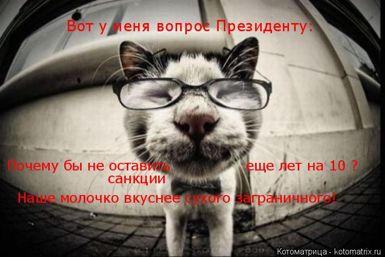 Котоматрица: Вот у меня вопрос Президенту: Почему бы не оставить  санкции  Наше молочко вкуснее сухого заграничного! еще лет на 10 ?