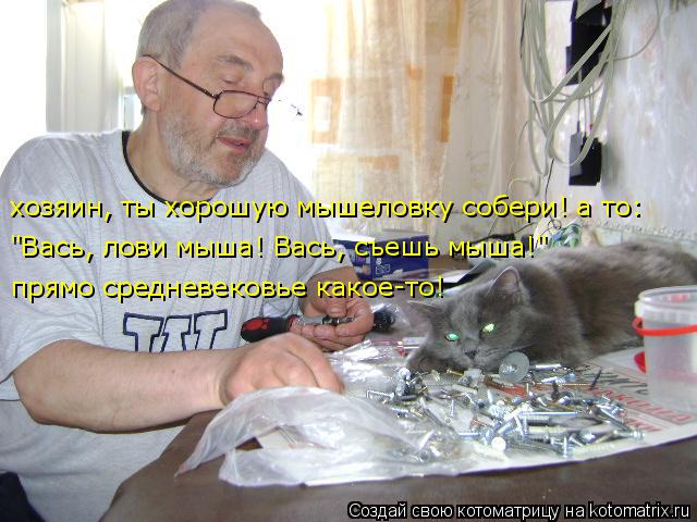 хозяин, ты хорошую мышеловку собери! а то: "Вась, лови мыша! Вась, съешь мыша!" прямо средневековье к... Котоматрица: хозяин, ты хорошую мышеловку собери! а то: "Вась, лови мыша! Вась, съешь мыша!" прямо средневековье какое-то!