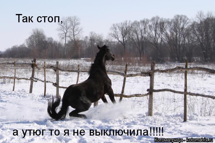 Котоматрица: Так стоп, а утюг то я не выключила!!!!!