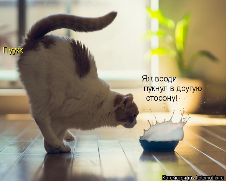 Котоматрица: Пуукк Яж вроди аа пукнул в другую сторону!