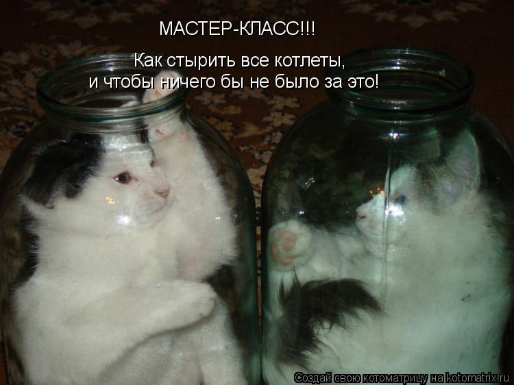 Котоматрица: МАСТЕР-КЛАСС!!! Как стырить все котлеты,  и чтобы ничего бы не было за это!