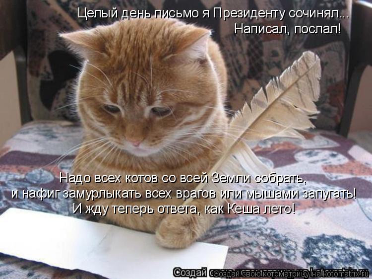 Котоматрица: Целый день письмо я Президенту сочинял... Написал, послал! и нафиг замурлыкать всех врагов или мышами запугать! Надо всех котов со всей Земли