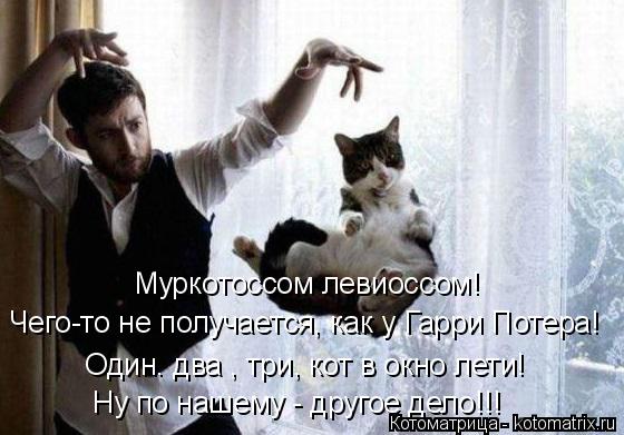 Котоматрица: Муркотоссом левиоссом! Чего-то не получается, как у Гарри Потера! Один. два , три, кот в окно лети! Ну по нашему - другое дело!!!