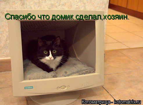 Котоматрица: Спасибо что домик сделал,хозяин.