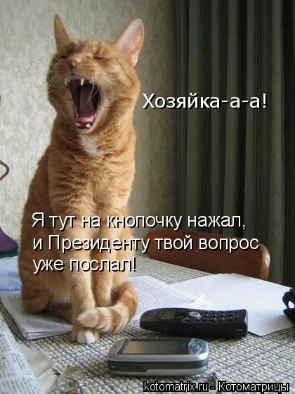 Котоматрица: Хозяйка-а-а! Я тут на кнопочку нажал,  и Президенту твой вопрос  уже послал!