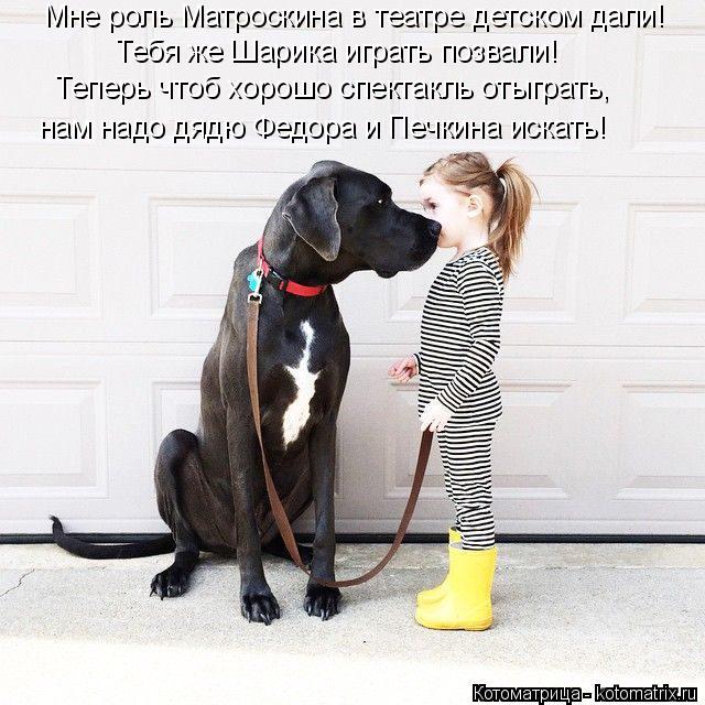 Мне роль Матроскина в театре детском дали! Тебя же Шарика играть позвали! Теперь чтоб хорошо спектакл... Котоматрица: Мне роль Матроскина в театре детском дали! Тебя же Шарика играть позвали! Теперь чтоб хорошо спектакль отыграть, нам надо дядю Федора и Печк