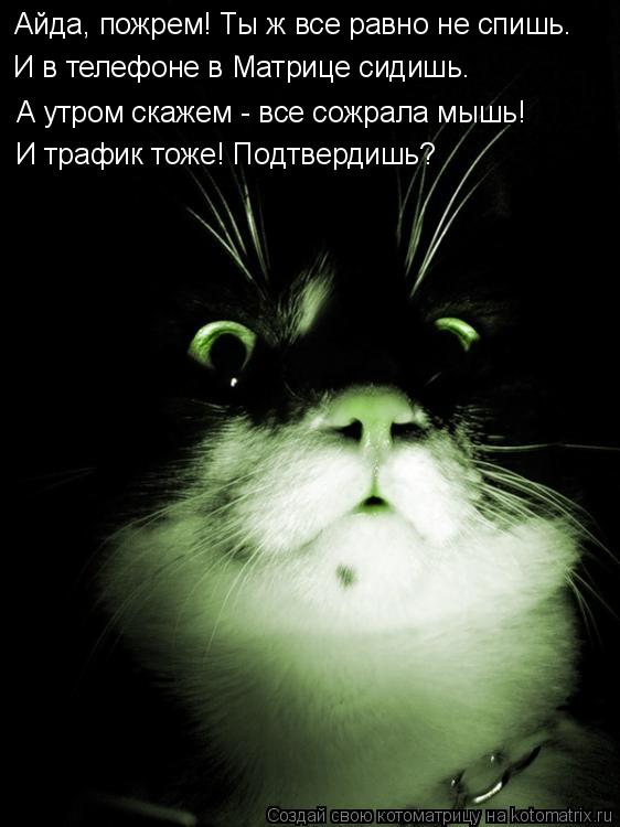 Котоматрица: Айда, пожрем! Ты ж все равно не спишь. И в телефоне в Матрице сидишь. А утром скажем - все сожрала мышь! И трафик тоже! Подтвердишь?