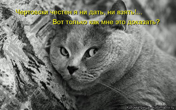 Чертовски честен я ни дать, ни взять!... Вот только как мне это доказать?... Котоматрица: Чертовски честен я ни дать, ни взять!... Вот только как мне это доказать?