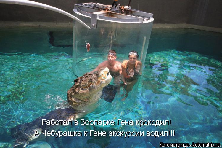 Работал в Зоопарке Гена крокодил! А Чебурашка к Гене экскурсии водил!!!... Котоматрица: Работал в Зоопарке Гена крокодил! А Чебурашка к Гене экскурсии водил!!!