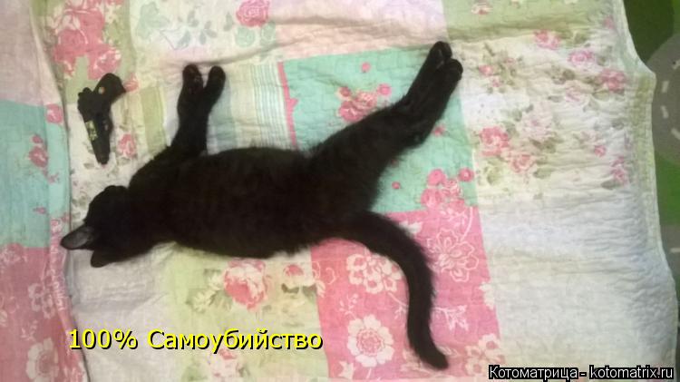 100% Самоубийство... Котоматрица: 100% Самоубийство