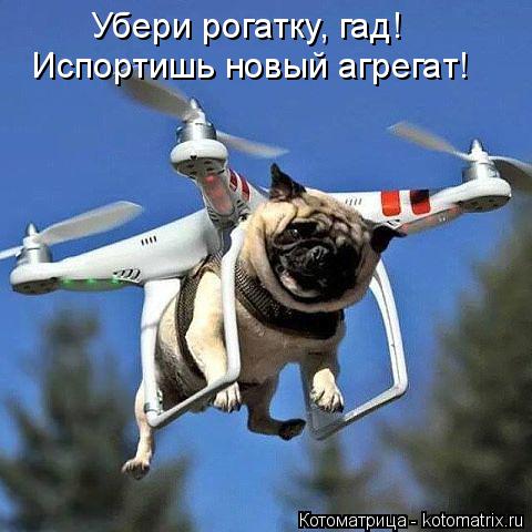 Убери рогатку, гад! Испортишь новый агрегат!... Котоматрица: Убери рогатку, гад! Испортишь новый агрегат!