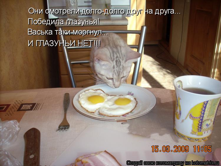 Они смотрели долго-долго друг на друга... Победила глазунья! Васька таки моргнул... И ГЛАЗУНЬИ НЕТ!!!... Котоматрица: Они смотрели долго-долго друг на друга... Победила глазунья! Васька таки моргнул... И ГЛАЗУНЬИ НЕТ!!!