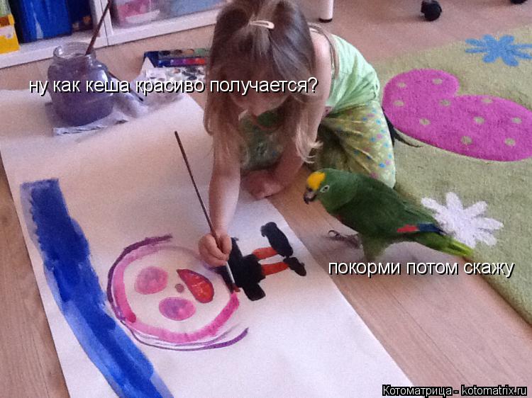 ну как кеша красиво получается? покорми потом скажу... Котоматрица: ну как кеша красиво получается? покорми потом скажу