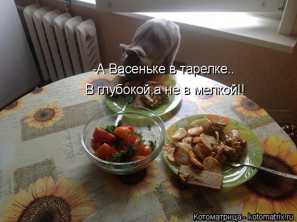 -А Васеньке в тарелке.. В глубокой,а не в мелкой!!... Котоматрица: -А Васеньке в тарелке.. В глубокой,а не в мелкой!!