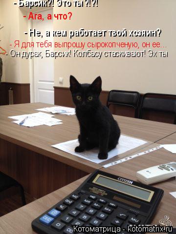 - Барсик?! Это ты?!?! - Ага, а что? - Не, а кем работает твой хозяин? - Я для тебя выпрошу сырокопчен... Котоматрица: - Барсик?! Это ты?!?! - Ага, а что? - Не, а кем работает твой хозяин? - Я для тебя выпрошу сырокопченую, он ее… - Он дурак, Барсик! Колбасу стаскивают