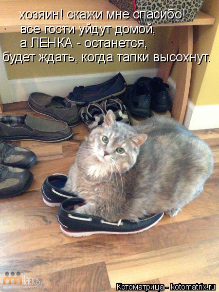 хозяин! скажи мне спасибо! все гости уйдут домой, а ЛЕНКА - останется, будет ждать, когда тапки высох... Котоматрица: хозяин! скажи мне спасибо! все гости уйдут домой, а ЛЕНКА - останется, будет ждать, когда тапки высохнут.