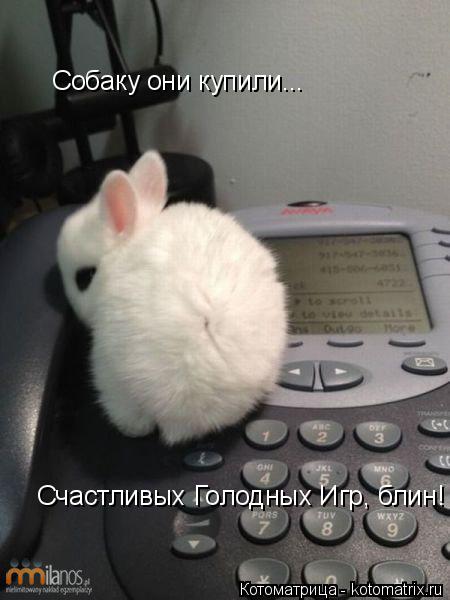 Счастливых Голодных Игр, блин! Собаку они купили...... Котоматрица: Счастливых Голодных Игр, блин! Собаку они купили...