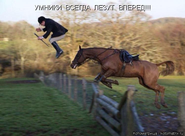УМНИКИ ВСЕГДА ЛЕЗУТ ВПЕРЕД!!!... Котоматрица: УМНИКИ ВСЕГДА ЛЕЗУТ ВПЕРЕД!!!